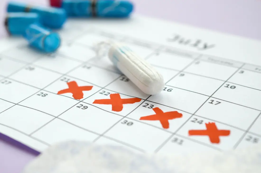 Auswirkungen von Berberin auf Menstruationszyklus und Eisprung